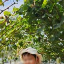 이레농장 이미지