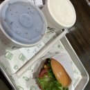 6월의 끝자락