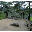 용장2리 이미지