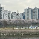 안양천 이미지