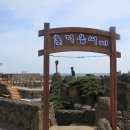 쫑이네 이미지