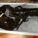 서호목장 이미지