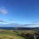 사우스코스트 이미지