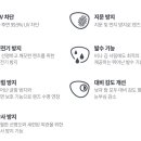 리오안경원 네이버블로그