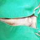 기흥동물병원 이미지