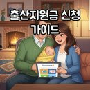 영천시야사지역아동센터 | 2025년 출산지원금 신청 후기 및 준비 과정: 지역별 혜택과 서류 준비