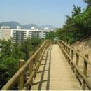 부평구 비타민길 이미지