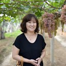혜진네포도원 이미지