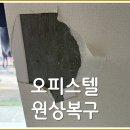 벽지 뜯는 강아지&가람 | 크게 찢어진 벽지 손상 부분 복원