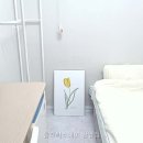 클래씨인 네이버블로그