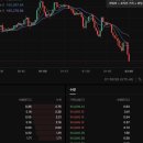 14년 무사고 거래소 BTCC 사칭사이트 구별 꿀팁은?