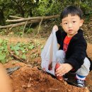 예빛유치원 이미지