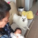 세방 한의원 이미지