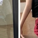 수기네스토어