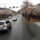 인동네거리 이미지