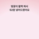 용돈