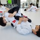 주짓수하우스 - 남동구 에코중앙로156번길 5-29 | 주짓수하우스