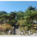 페트라숯불구이 이미지