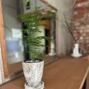 오느레맨션 | 사천 펜션 구석구석 사장님의 센스가 돋보이는 오느레맨션