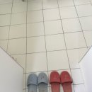하우스 도프 이미지