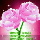 즐거운하루 이미지