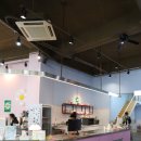 몽카롱 애견미용 이미지