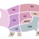 강원엘피씨