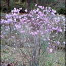 큰골공원 이미지