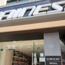 강남-224 이미지