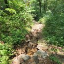치악산둘레길 5코스 서마니강변길 | 치악산둘레길 5코스 서마니강변길 - 2026. 8. 2
