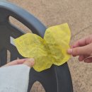 수원시가족여성회관 | 8월 14일 일본군 ‘위안부’ 피해자 기림의 날 무료 전시·공연 후기와 서울 나비문화제 소식