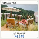 대구 근교 청도글램핑 숲속 힐링 가득 바움글램핑 후기