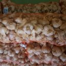 해풍민박 이미지