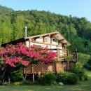 황토와통나무별장 이미지