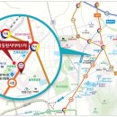 코아청과 이미지