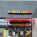 개밥파는 고양이 야당점 이미지