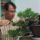 봉명중학교 이미지