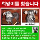 사당역(4) 이미지