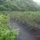 두현농장 이미지