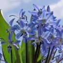 장고경로당 이미지