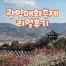 버스승차대 15-333 | 2026 광양매화축제 첫날 방문기, 주차부터 셔틀버스 정보까지 한눈에