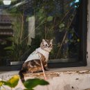 약초원한약국 이미지