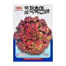 씨앗