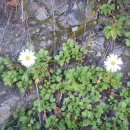 철암초등학교 이미지