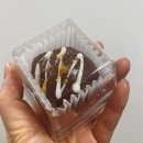쿠키헤르츠 | 양재 뱅뱅사거리 쿠키 맛집 두바이 쫀득 쿠키 '쿠키 헤르츠' 가격 대기 맛 후기, 두쫀쿠 지도