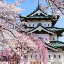 선사시대로 탐방 길(선사3코스) 이미지