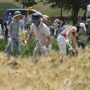 김동진농장 이미지