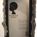 모리셔스 브라운 이미지