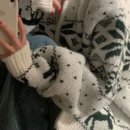 디자인핏 이미지