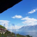 이종현농장 이미지